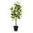 28'' Faux Lemon Tree in Pot