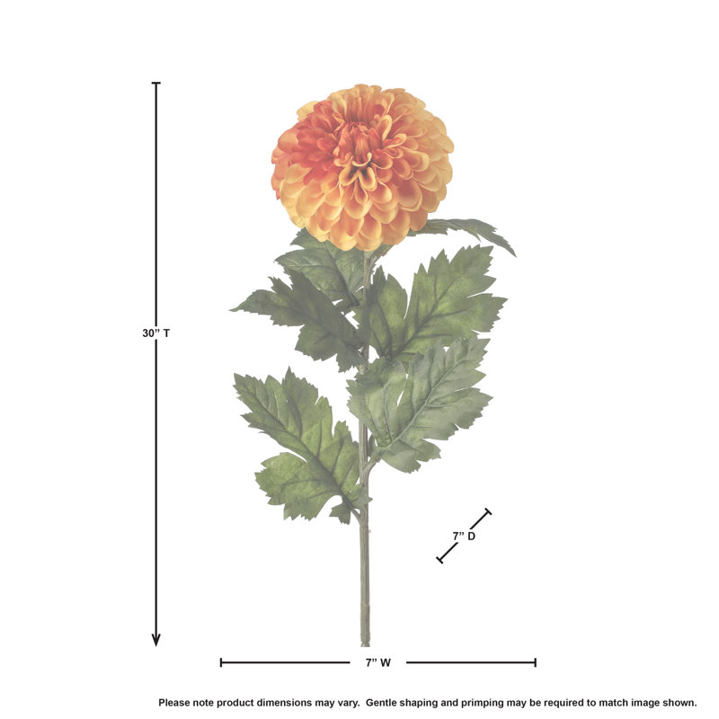 Tige de dahlia, Orange