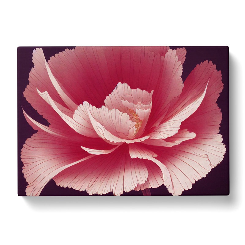 Animated Carnation Flower - Wrapped Canvas, 35cm H x 50cm W x 3cm D