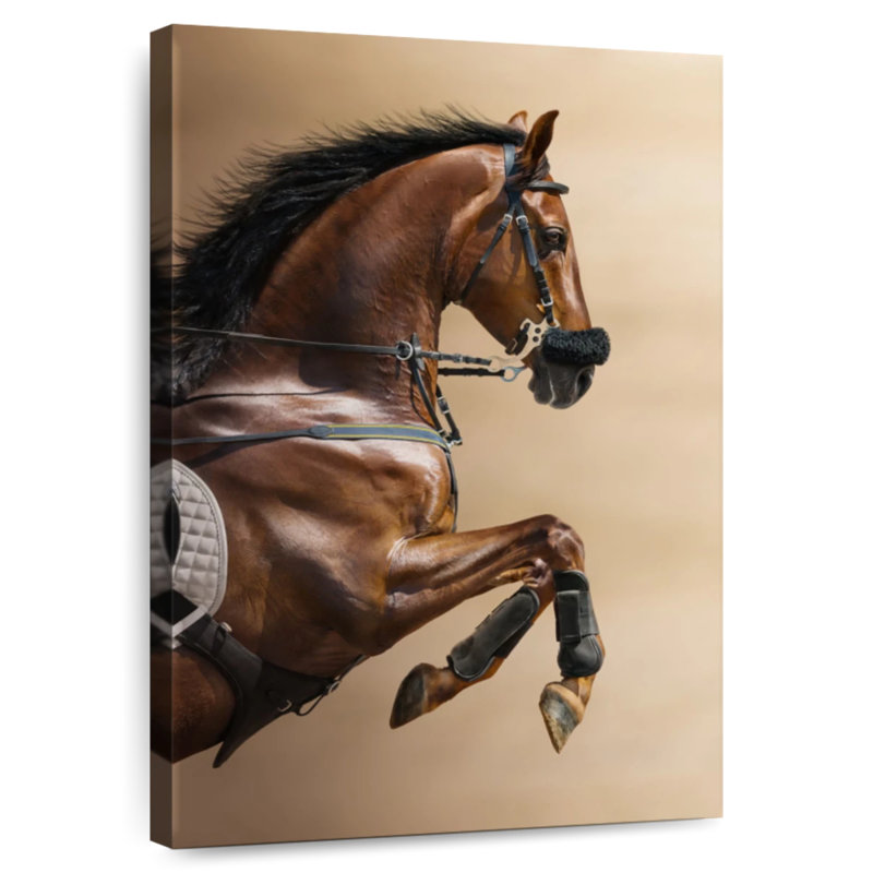 Cheval sautant, H 48 po x l 32 po