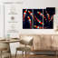 Poissons koi Brampt Sleek-108010911