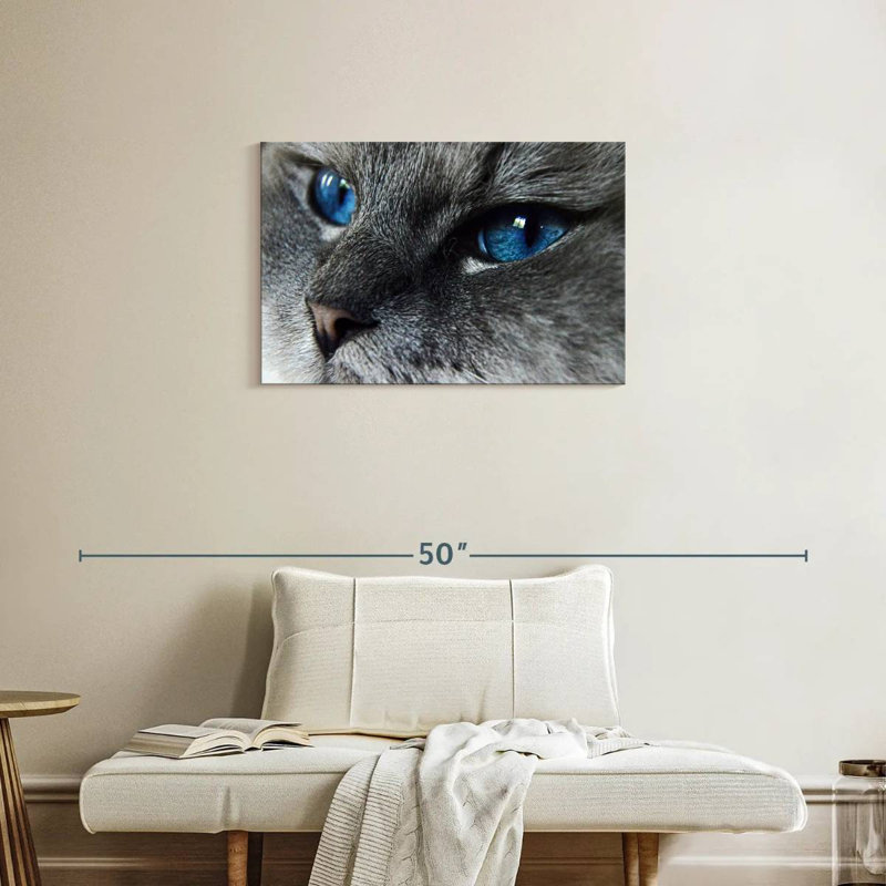 Chat Brampt aux yeux bleus, H 20 po x l 30 po