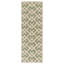 Tapis intérieur / extérieur vert / os Arneshia-462742542