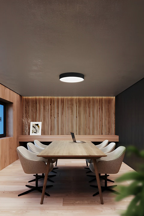 Flush Mount Lighting