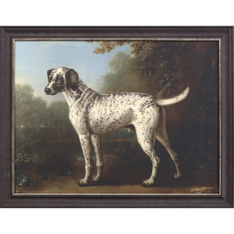 Chien gris tacheté