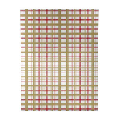 Plaid Indoor Rug