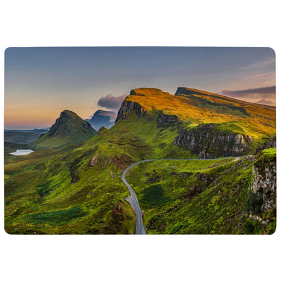 Iona-Rose Shag Area Rug