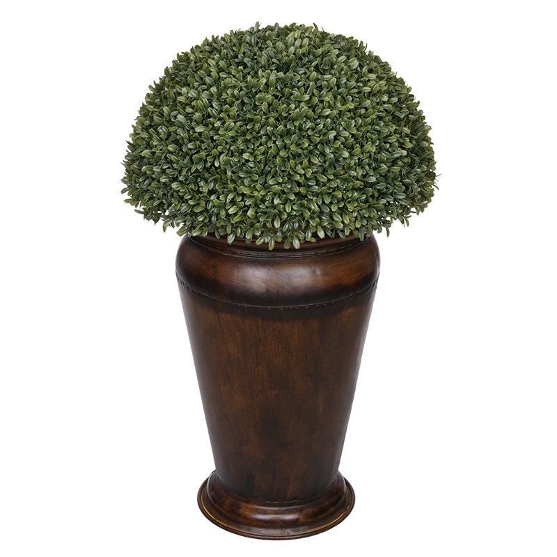 Topiaire buis dans une vase décorative, Marron foncé