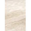 Chevron Area Rug in Ivory