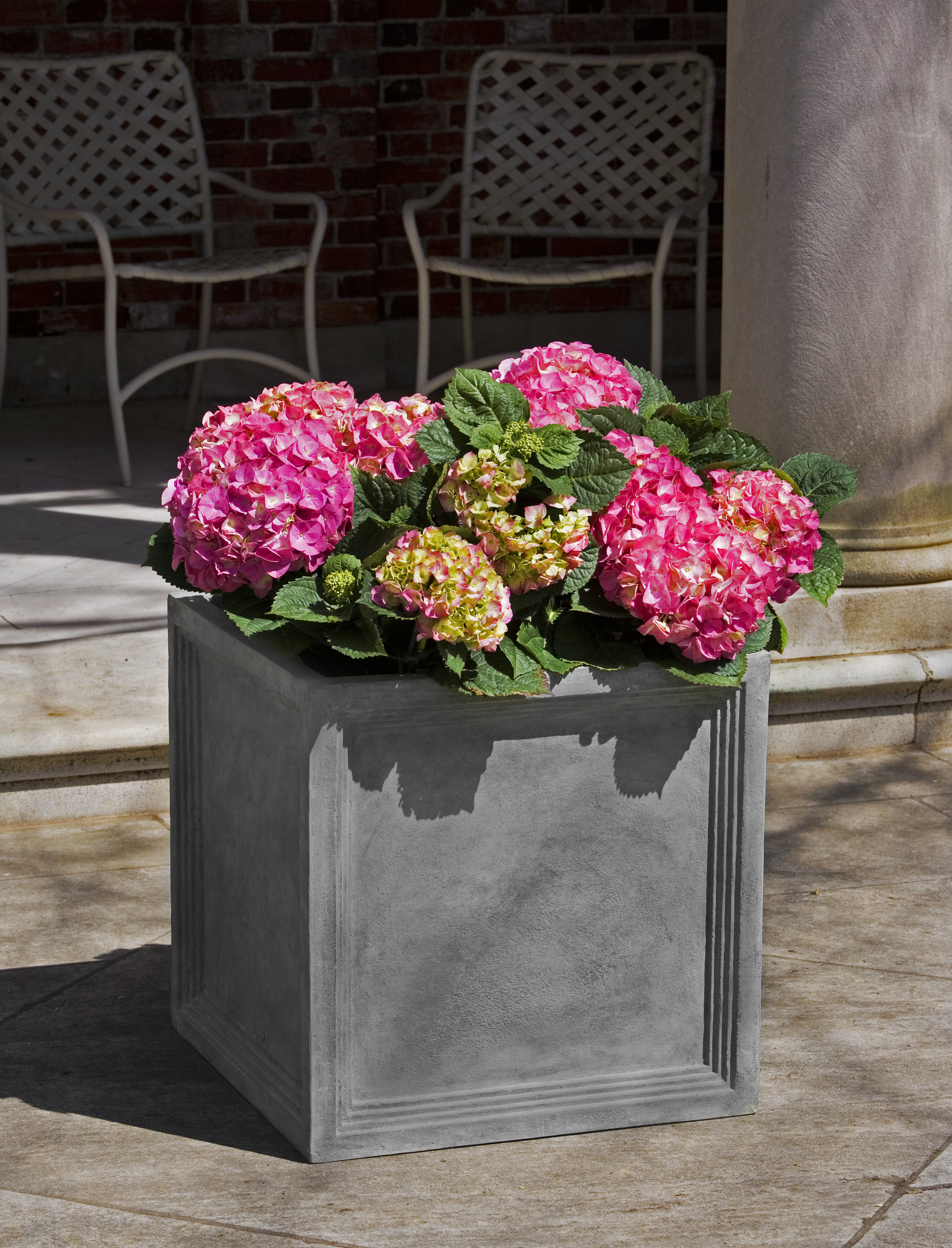 Darby Home Co Sandhurst Planter Box & Reviews | Wayfair
