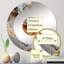 Harvard - Miroir mural demi-cercle-1983444308