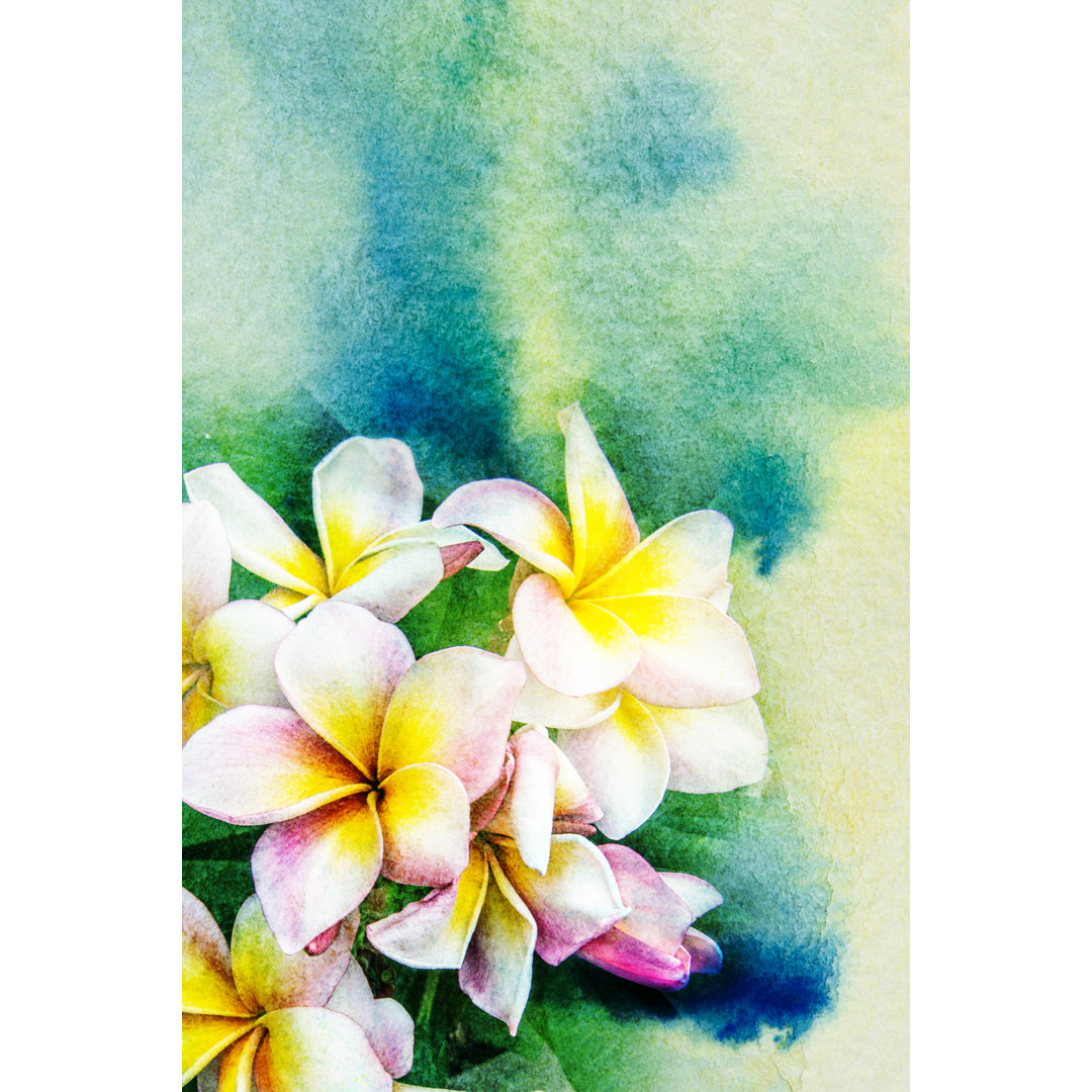 Blume Aquarell Illustration - Druck