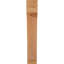 Attelle impériale du genou-31229279-29309856-31229273