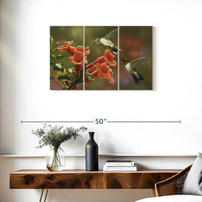 Hummingbirds And Trumpet Flowers