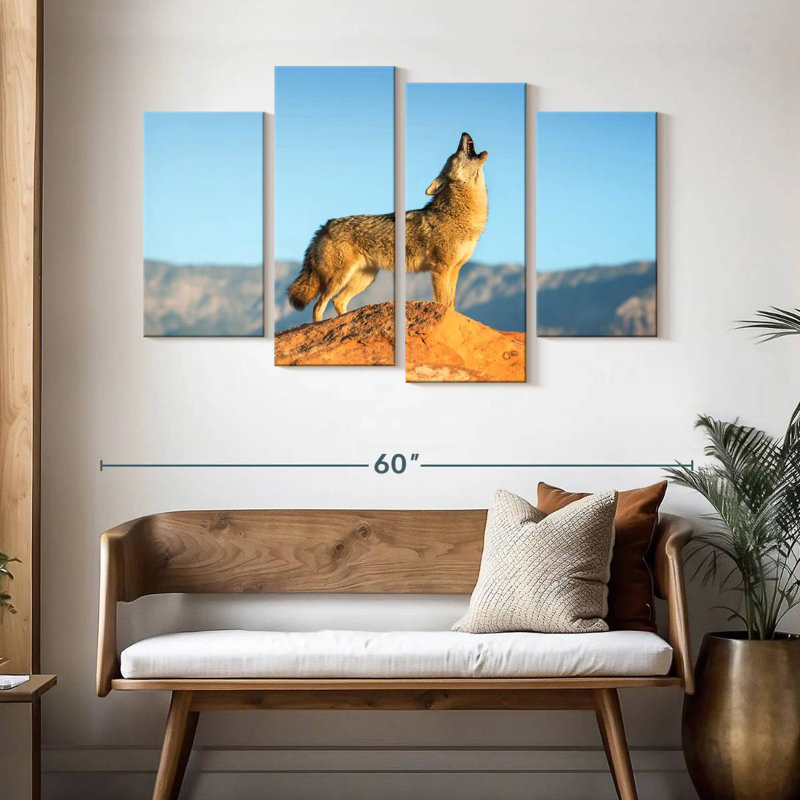 Coyote