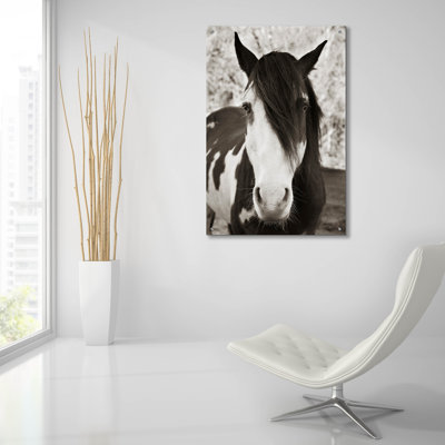 «Pale Eyed Stallion» par Traer Scott