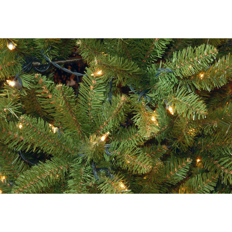 Sapin effilé avec PowerConnect, lumières DEL bicolores de 7,5 pi Kingswood Fir