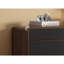 Armoire de rangement pour chaussures