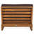 Despina Teak Patio Chair with Cushions-100259690
