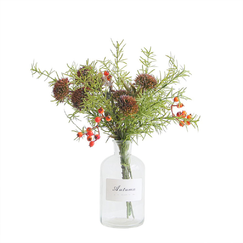 Plantes de trône et de fleurs à motif floral mixte dans un pot, Transparent