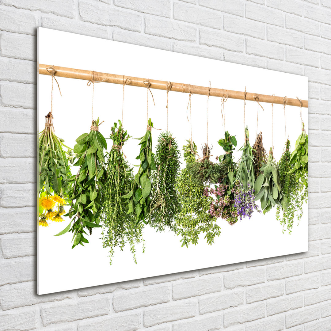 Glasbild Herbs On A String