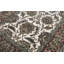 Wool Oriental Area Rug in Ivory/Rust/Green-50103610