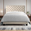 Winston Porter Fabric Upholstered Bed Frame with Adjustable Headboard-709296191-709296182