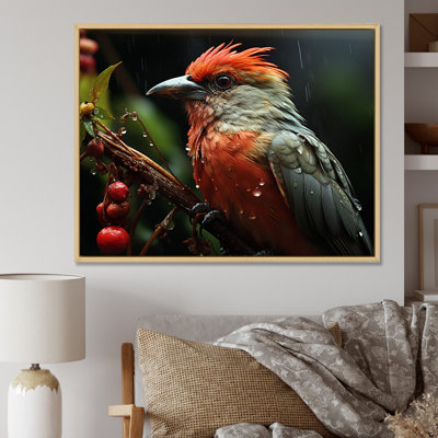 " Orange Tropical Bird On Branch Nature Photography "