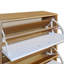 Shoe Cabinet