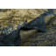 Abstract Flatweave Charcoal/Yellow Area Rug-53932532