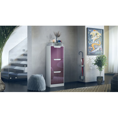 12 Pair Shoe Storage Cabinet