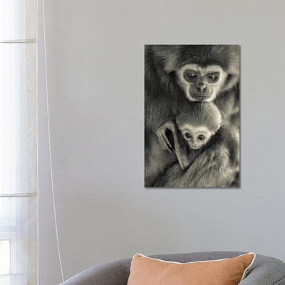 Gibons by Goran Anastasovski - Wrapped Canvas Print
