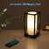 11.4'' Bedside Table Lamp Set with USB