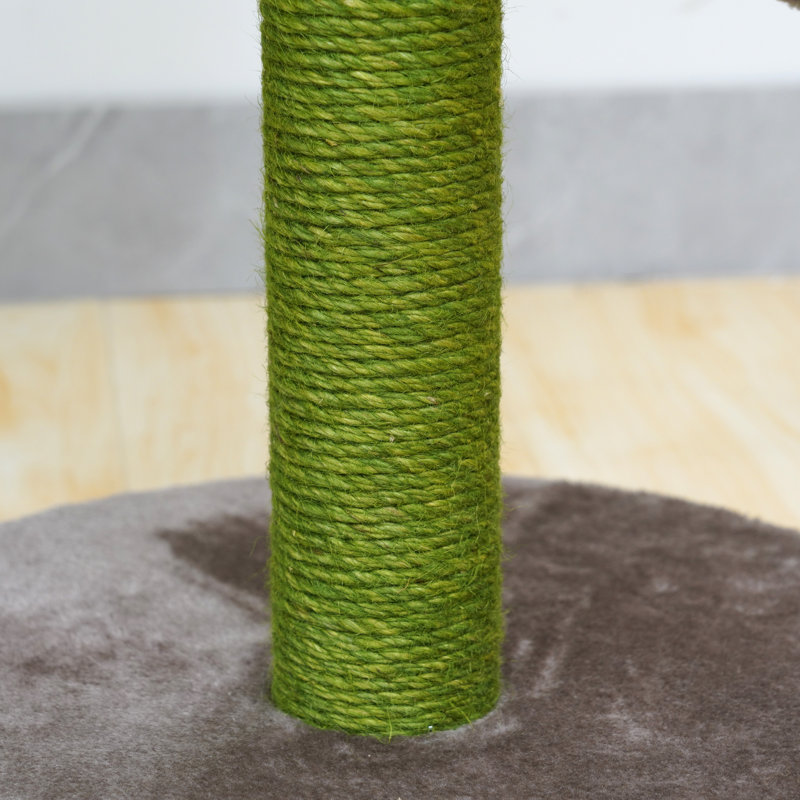 Scratching Post