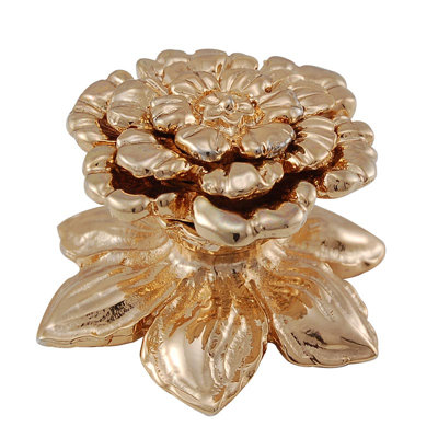Carlotta Novelty Knob