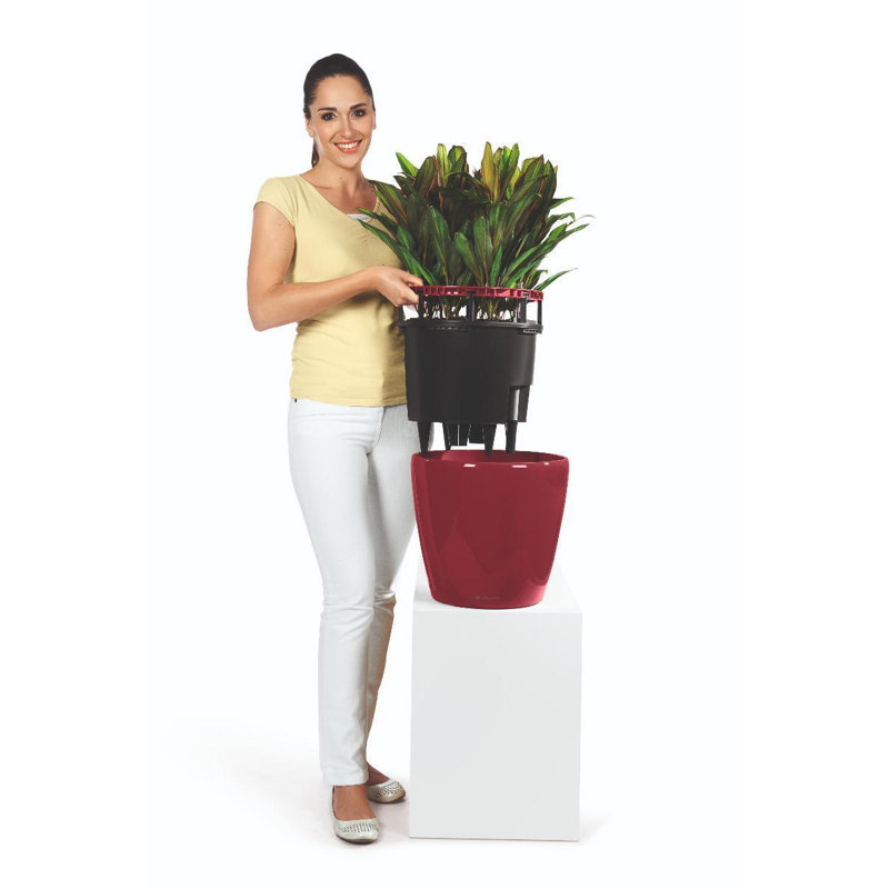 Classico Pot Planter, Scarlet Red, 33cm H x 35cm W x 35cm D