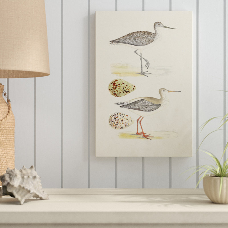 «Sandpipers and Eggs I», impression sur toile, H 18 po x l 12 po