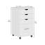 42 cm W 4 -Drawer Wheels / Casters included Mobile Filing Cabinet