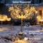 8 lumières de jardin d'extérieur imperméables à l'eau avec 8 lumières DEL 120 modes-70596440