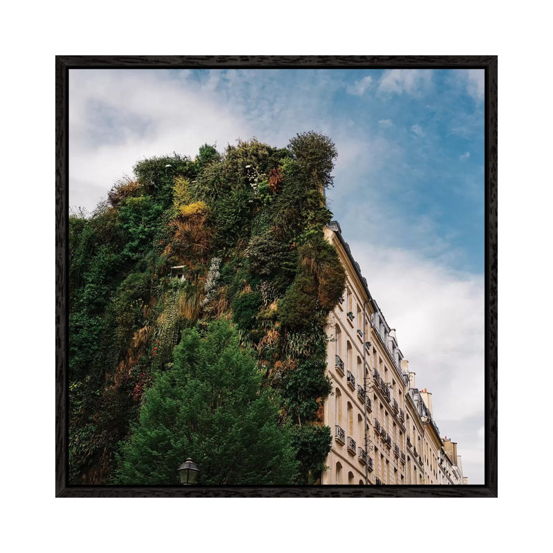 Parisian Vertical Garden II by Bethany Young - Print on Canvas, 45.72cm H x 45.72cm W x 3.81cm D, Black Framed