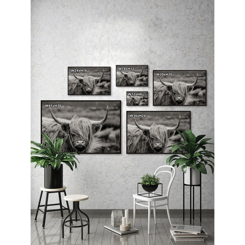 «Hairy Face C best» par Marmont Hill, reproduction sur toile, L 18 po x H 12 po, Toile avec cadre flottant noir, Aucun mat