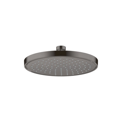 Rain Fixed Shower Head