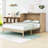 Full Murphy Bed with Ample Storage and USB