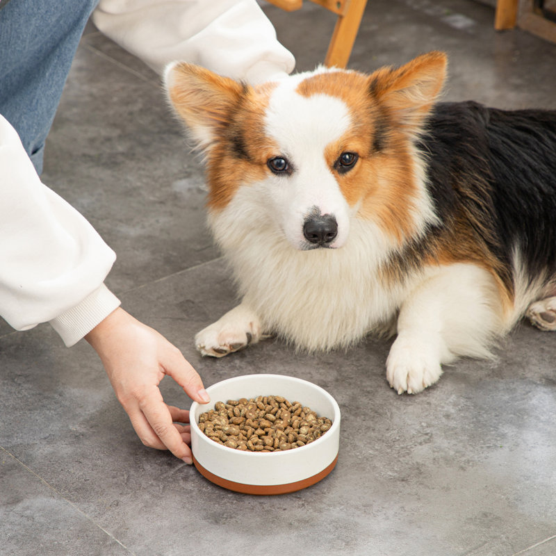 Anti-Skid Pet Bowl, 480ml