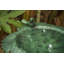 Bain d'oiseaux Ahren-561069578