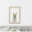 Perham «Yellow Star Llama», reproduction-33744052-32694458