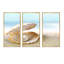 «Shell with a perle» - Photographie de cadre flottant 3 pièces sur toile-1135205875-1135205871
