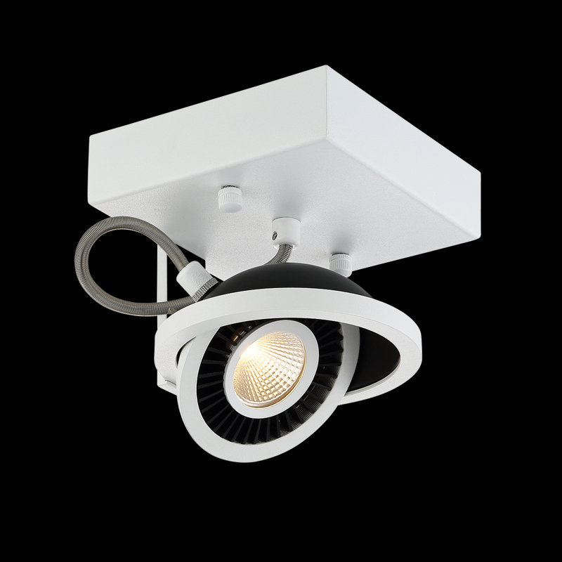 Vision LED Spotlight