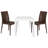 2-Piece Outdoor Dining Set with Square Dining Table with Weave Design and 2 Accent Side Chair-88292640
