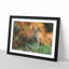 Hare in a Meadow - Framed Print-56712100-56712104